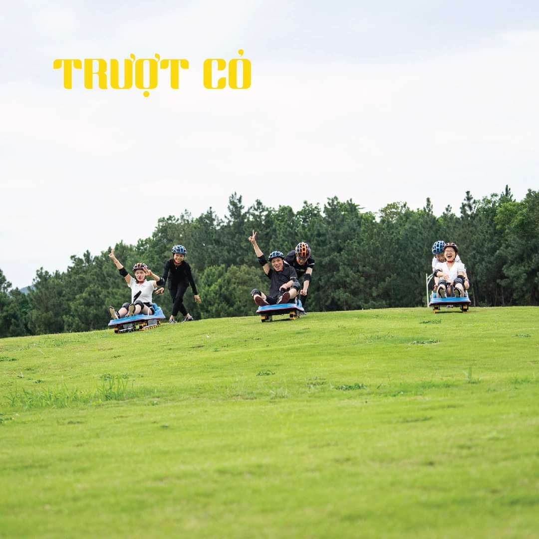 Hoạt Động Trượt Cỏ